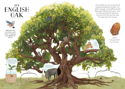 The Tree of Life : A lift-the-flap book about the amazing animals that live in trees around the world