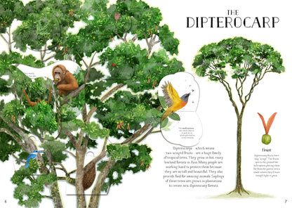 The Tree of Life : A lift-the-flap book about the amazing animals that live in trees around the world