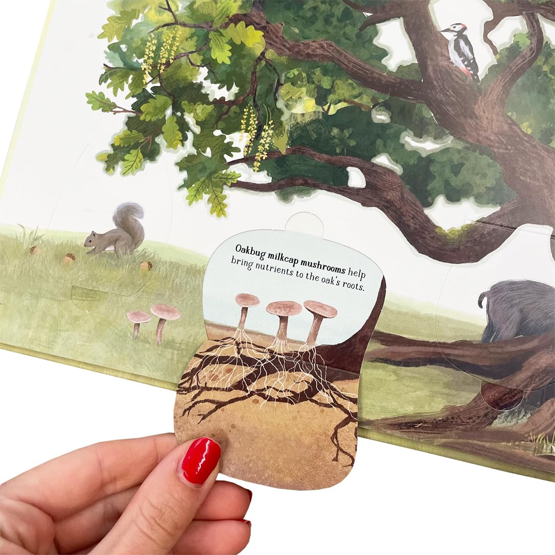 The Tree of Life : A lift-the-flap book about the amazing animals that live in trees around the world