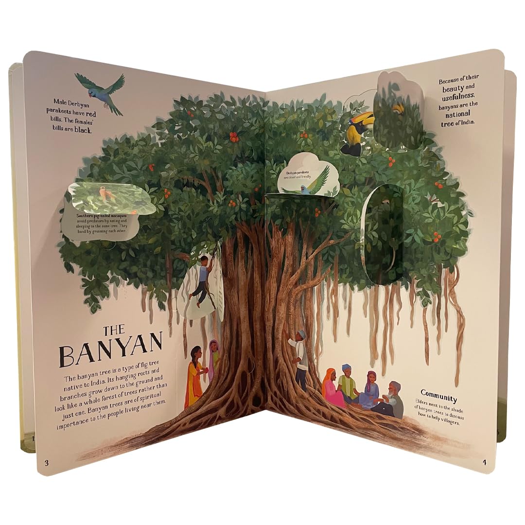 The Tree of Life : A lift-the-flap book about the amazing animals that live in trees around the world