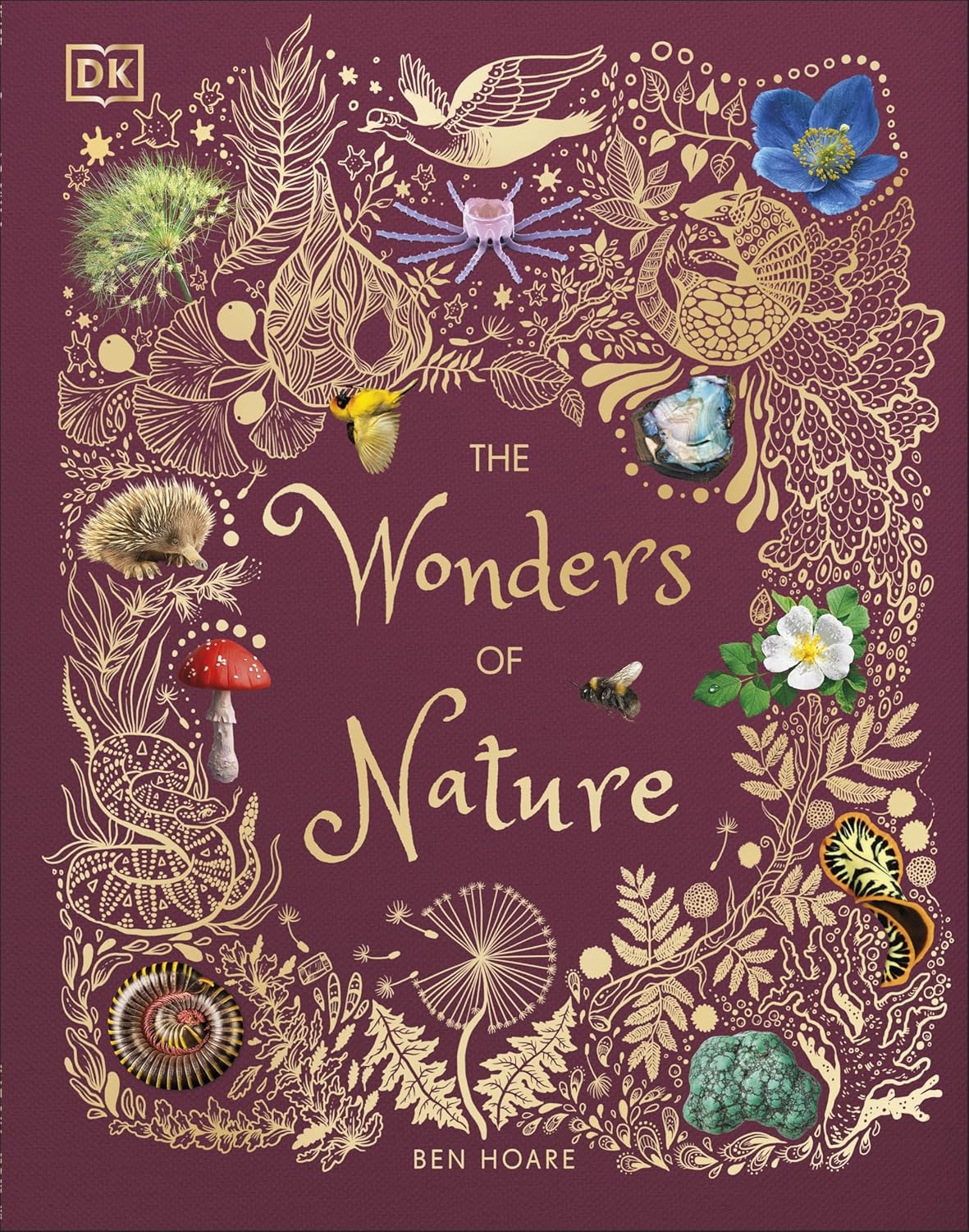 The Wonders of Nature: Discover the Incredible Stories of the Natural World