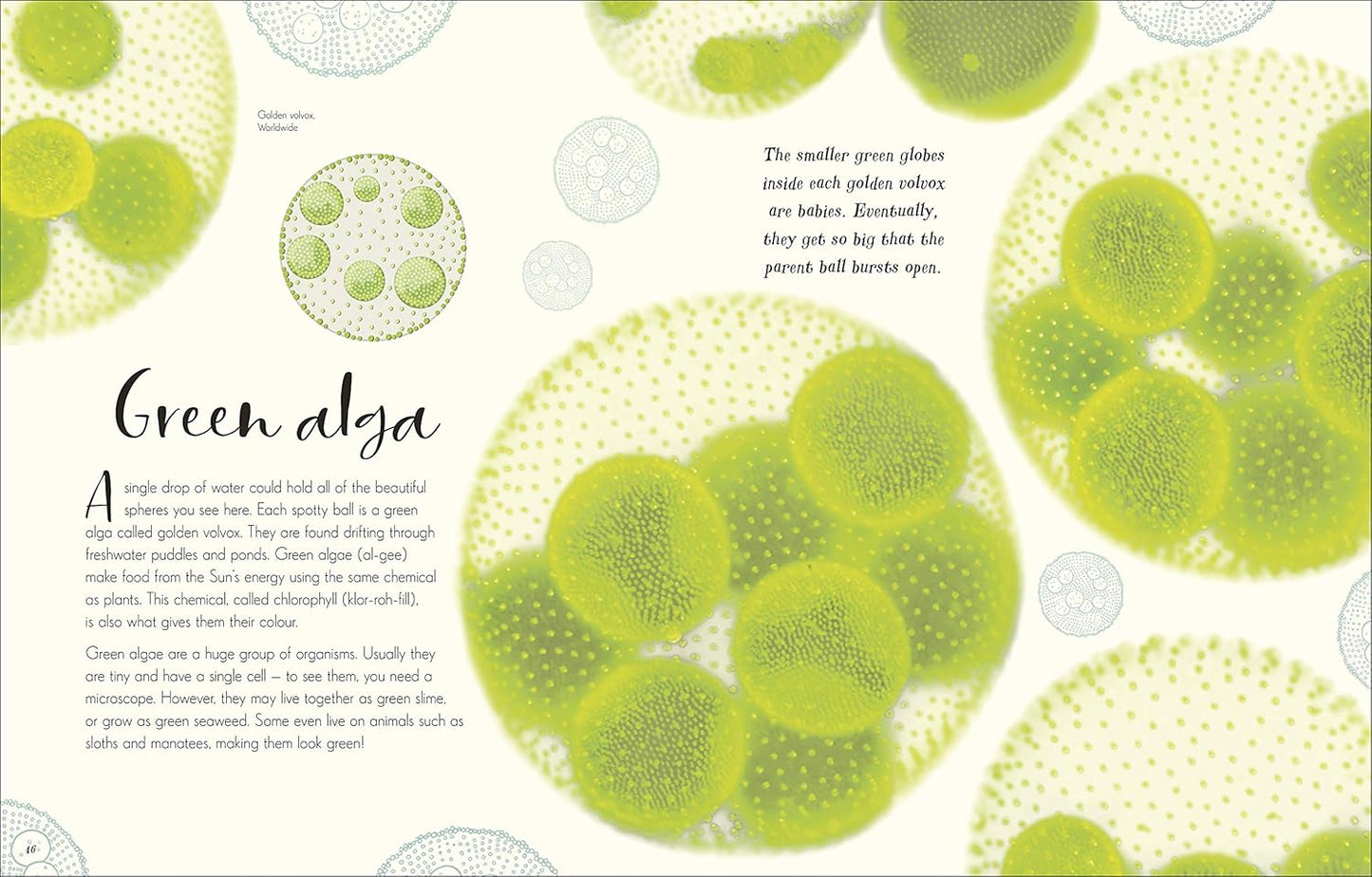 The Wonders of Nature: Discover the Incredible Stories of the Natural World