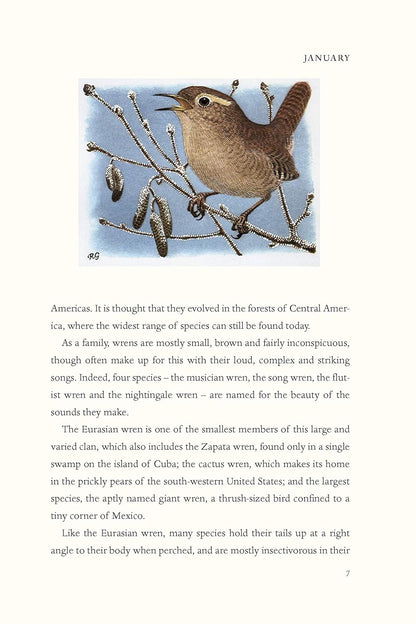 The Wren: A Biography, The perfect gift for bird lovers