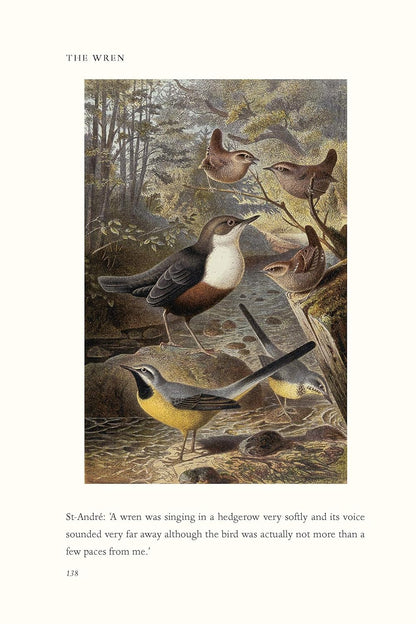 The Wren: A Biography, The perfect gift for bird lovers