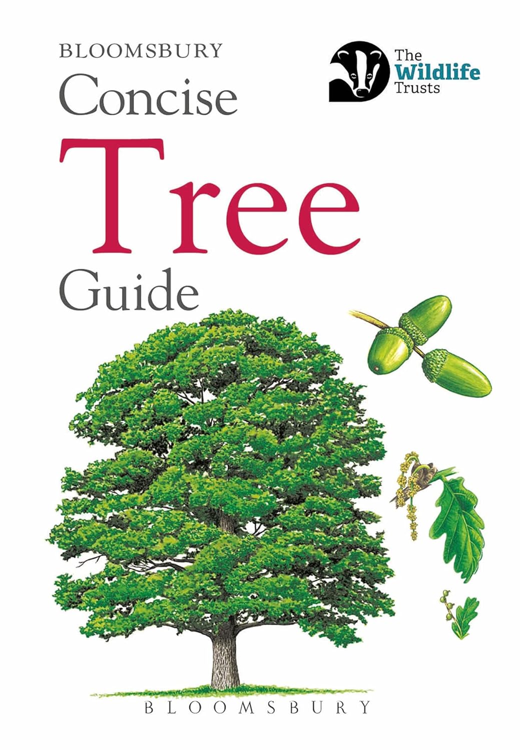 Tree Guide Sheets Concise Tree Guide (Concise Guides) – Nature Bound Books