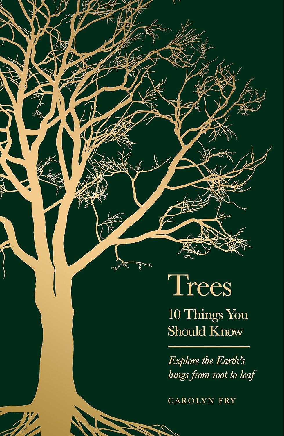 Trees: 10 Things You Should Know