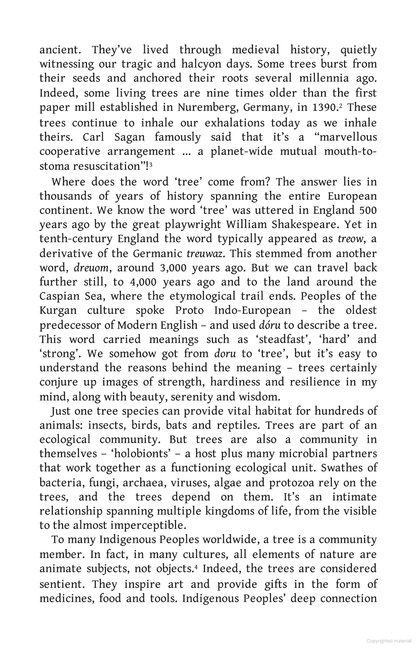 Treewilding: Our Past, Present and Future Relationship with Forests