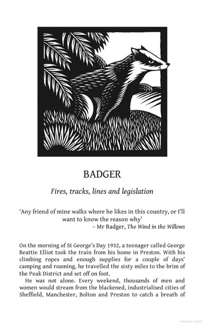 The Book of Trespass: Crossing the Lines that Divide Us