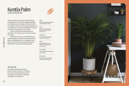 The Unkillables: 40 Resilient Houseplants