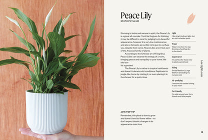 The Unkillables: 40 Resilient Houseplants