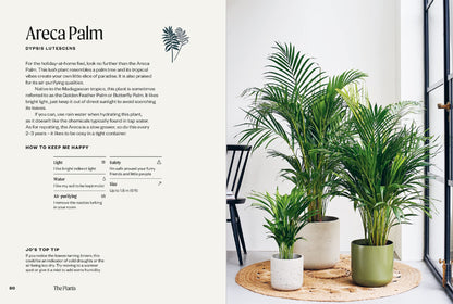 The Unkillables: 40 Resilient Houseplants