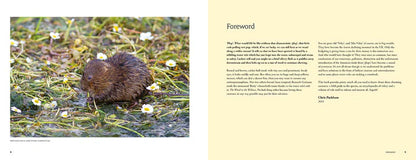 The Water Vole: The Story of One of Britain's Most Endangered Mammals