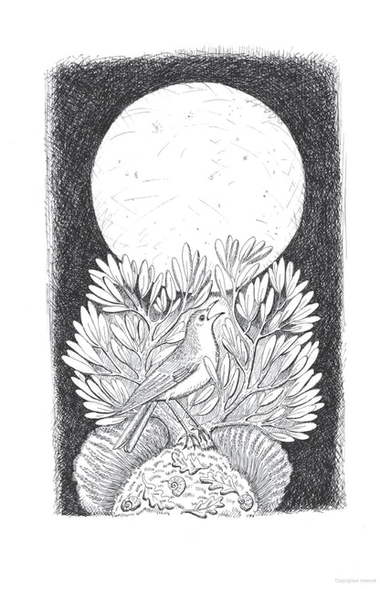 Whistling in the Dark: In Pursuit of the Nightingale