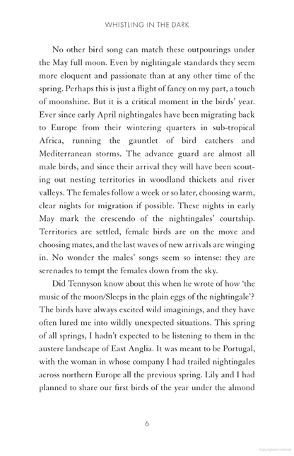 Whistling in the Dark: In Pursuit of the Nightingale