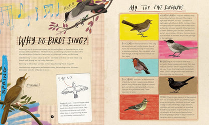 A Wild Child's Book of Birds