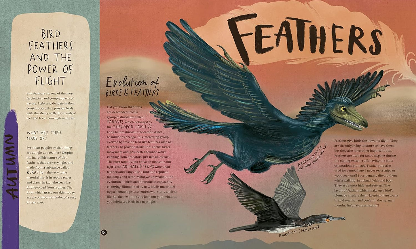 A Wild Child's Book of Birds