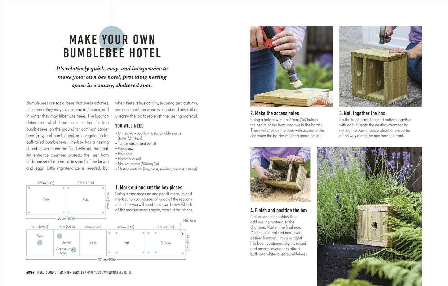 How to Attract Wildlife to Your Garden