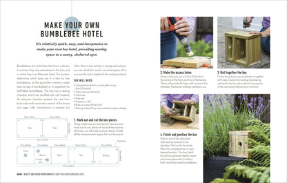 How to Attract Wildlife to Your Garden