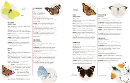 How to Attract Wildlife to Your Garden