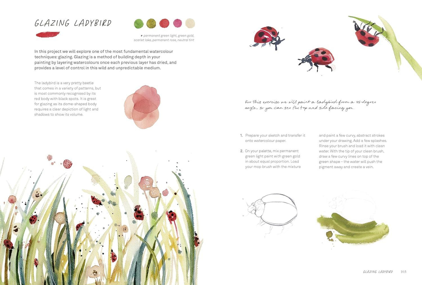 Wild Watercolour: Connect to the natural world through the art of painting