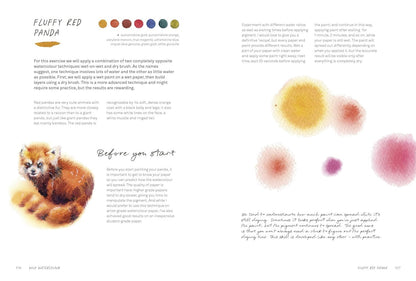 Wild Watercolour: Connect to the natural world through the art of painting