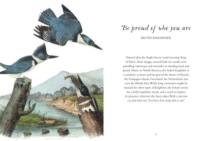 The Wisdom of Birds