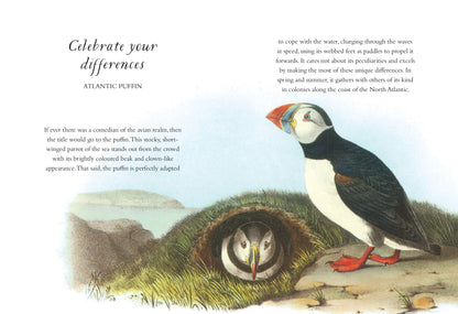 The Wisdom of Birds